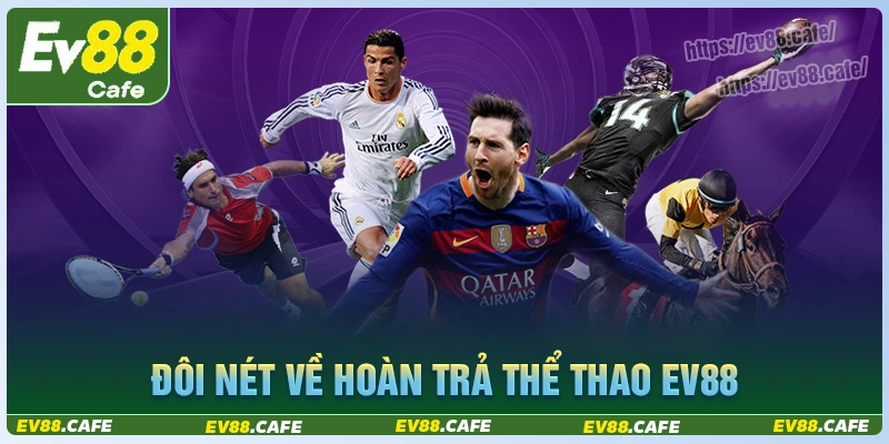 Đôi nét về ưu đãi hoàn trả cược thể thao không giới hạn