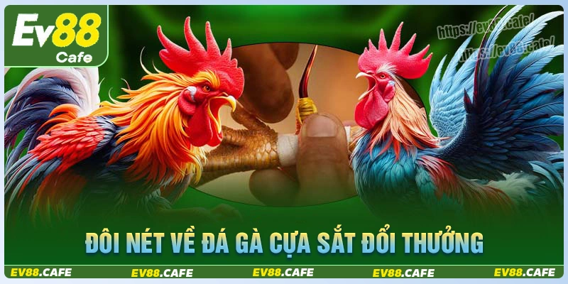 Đôi nét đá gà cựa sắt đổi thưởng tại ev88