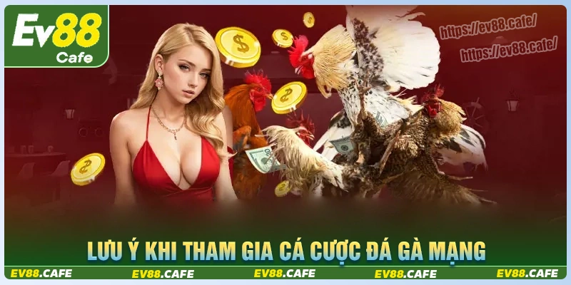 Những lưu ý khi chơi đá gà mạng tại nhà cái ev88