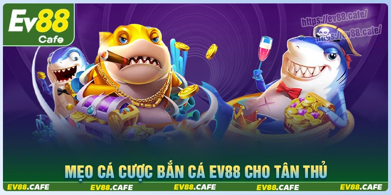 Mẹo bắn cá đổi thưởng mới nhất cho bet thủ